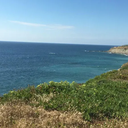 Wild, Sea & Surf